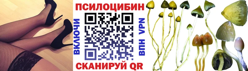 Галлюциногенные грибы ЛСД  Купить  Кадников 